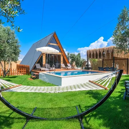 Assevilla فيلة *