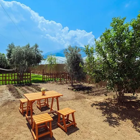 别墅 Assevilla 费特希耶